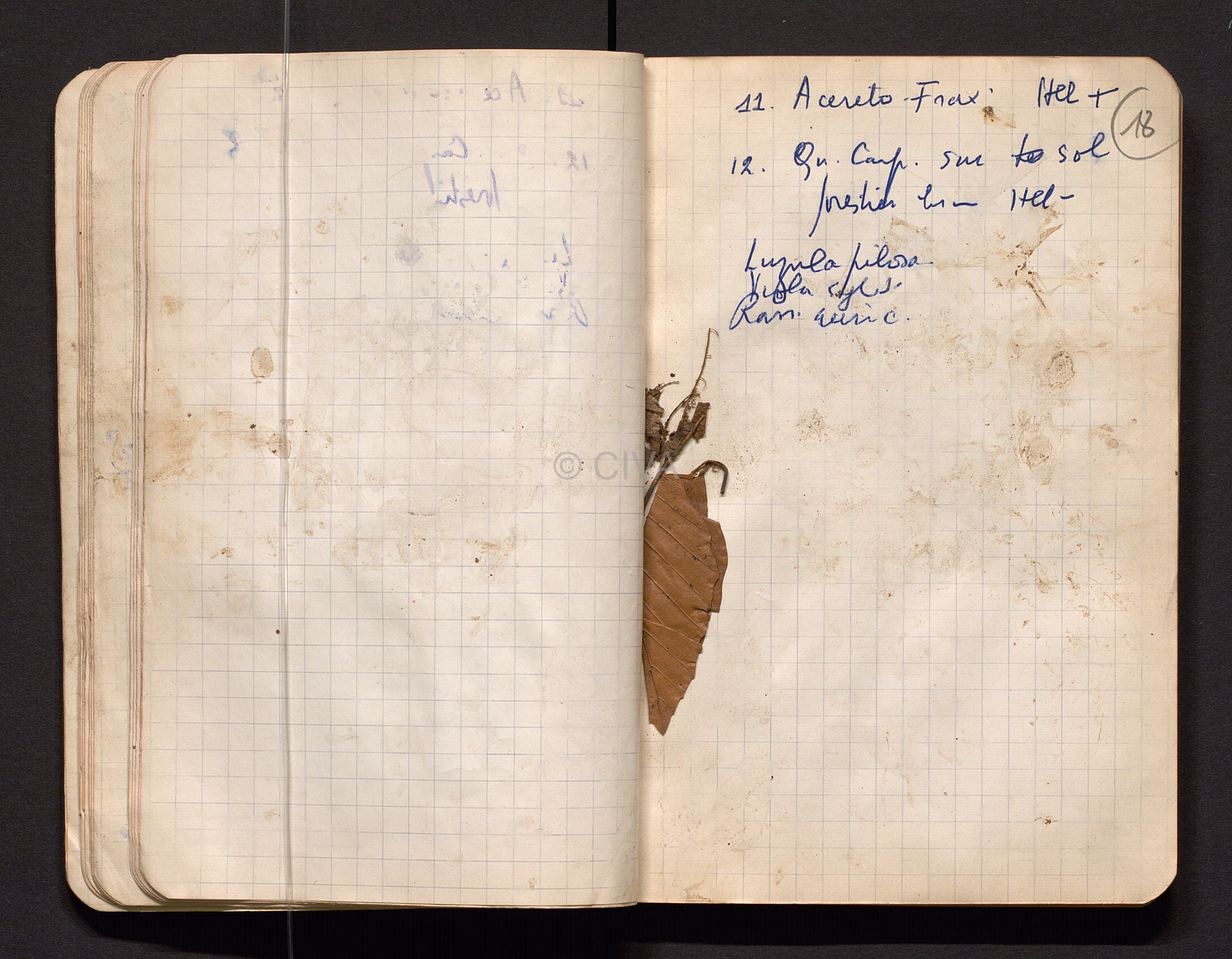 Carnet de terrains