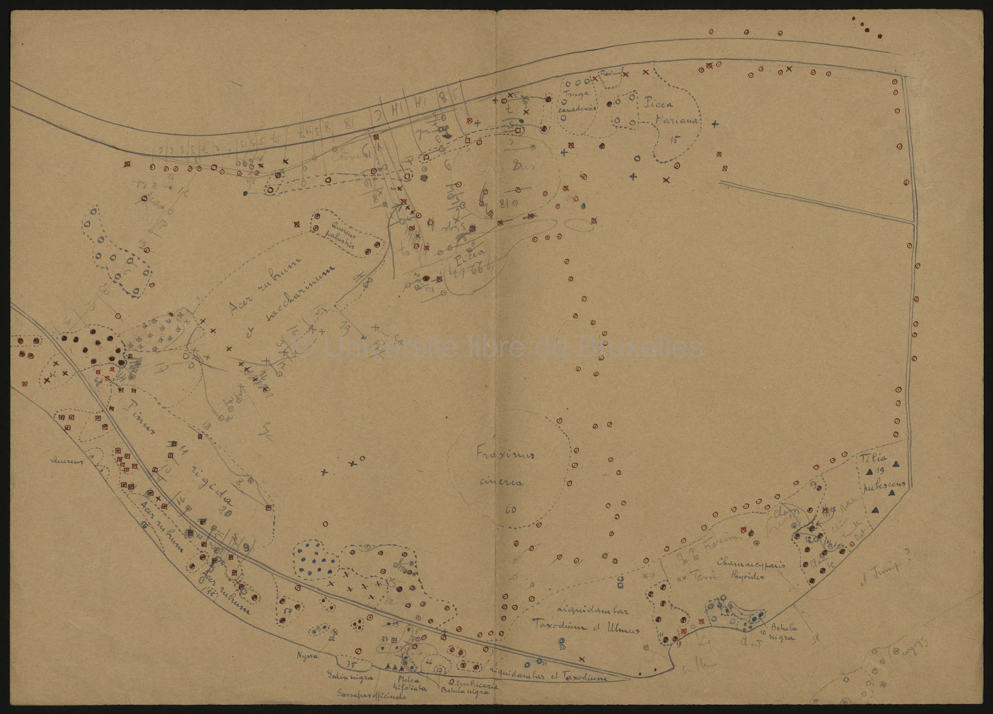 Côte Atlantique. Plan définitif à recherche