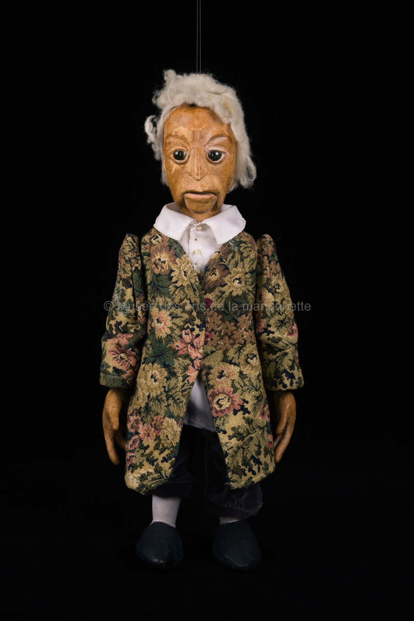 Il s'appelait Jean-Sébastien ou la Sève : Bach, vieux et aveugle